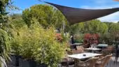 Mas Campo