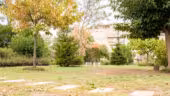 FormaPaysage