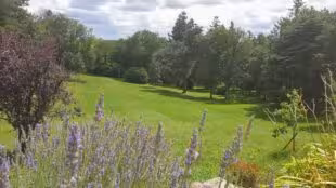 Domaine de Bel Air Yoga Retreats