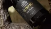 Domaine Guinand