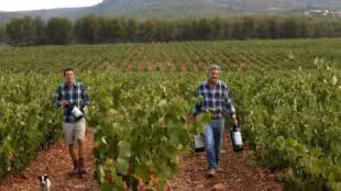 CHATEAU VANNIERES