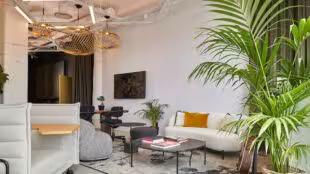 Bureaux Des Futurs