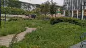 SmartParc