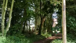 Les gîtes de La ferme Dufresne