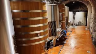 Domaine Mayard