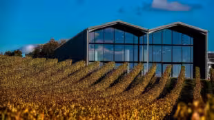 Château Lauduc