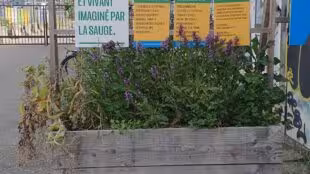 L'Agronaute | Pépinière, ferme urbaine, événements
