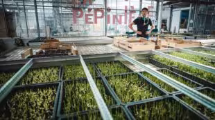 L'Agronaute | Pépinière, ferme urbaine, événements