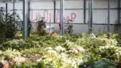 L'Agronaute | Pépinière, ferme urbaine, événements