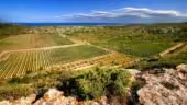 Château L'Hospitalet Wine Resort Beach & Spa