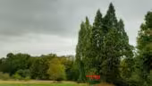 Le Domaine des Cormellas
