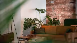 Atelier 15 - Coworking Brussels