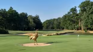 Golf de la Bresse
