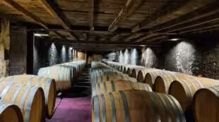 Domaine de la Grave - Vignobles Roche Teycheney