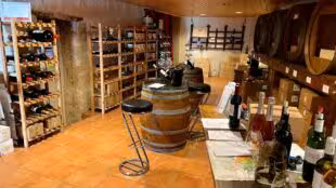 Domaine de la Grave - Vignobles Roche Teycheney