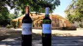 Domaine de la Grave - Vignobles Roche Teycheney