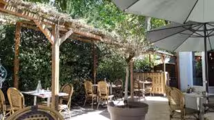 RESTAURANT LES PLATANES
