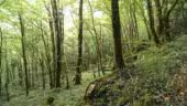 Espace Beltane