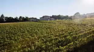 Domaine Meryt