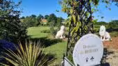 Domaine du Bertry