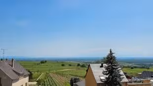Cattin - Grands Vins & Crémants d'Alsace