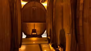 Cattin - Grands Vins & Crémants d'Alsace