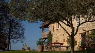 Domaine de Tilh - Salle de réception Sud-Ouest