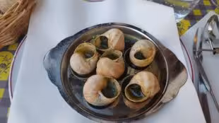 L' Ancienne Douane