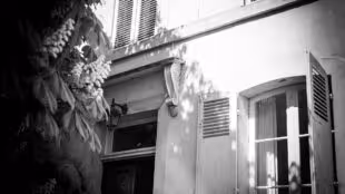 Chez Agnès - Pont l'Evêque
