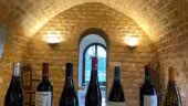 Weeno - L'École des vins, spiritueux et sakés - Formation WSET - Marseille