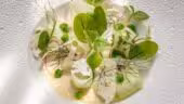 Le Carré d'Alethius | Hotel Restaurant Valence