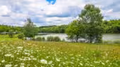 Le Domaine des Monédières - Vacancéole