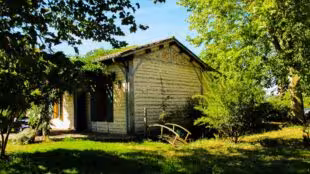 Domaine Maison Dodo