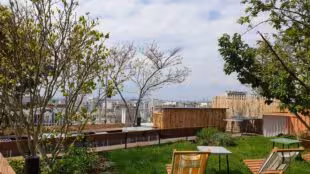 rooftop hotel paradiso