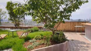 rooftop hotel paradiso