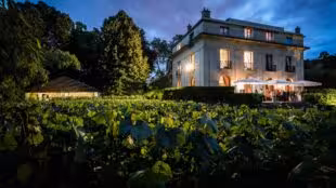La vigne de Paris-Bagatelle