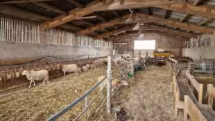 La Ferme Agerria