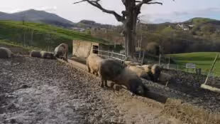 La Ferme Agerria