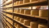 La Ferme Agerria