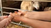 La Ferme Agerria