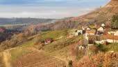 Maison Bonnard