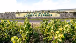 Champagne & caves JOSEPH PERRIER