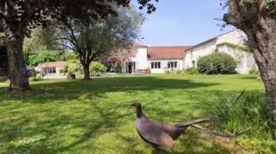 La Grande Barbotière