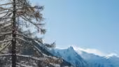 Les Rives d'Argentiere - Chamonix Chalet