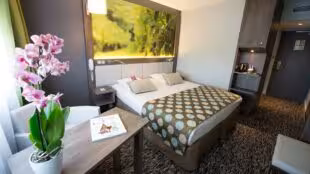 Hôtel Mercure Beaune Centre