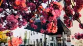 Hôtel Mercure Beaune Centre