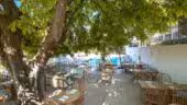 Domaine Gaogaïa