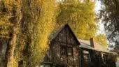 Robin des moulins