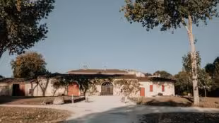 Château de Castelneau