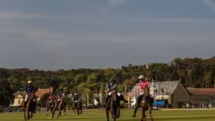 Polo-de-Chantilly-Stade de Polo
